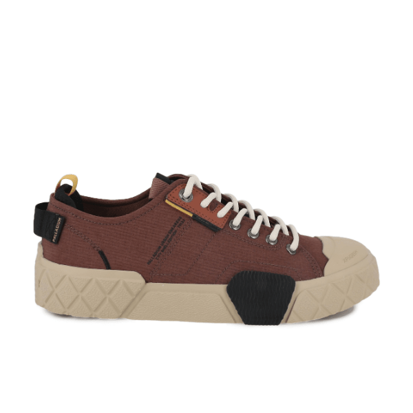 Ace City Shell - Racoon