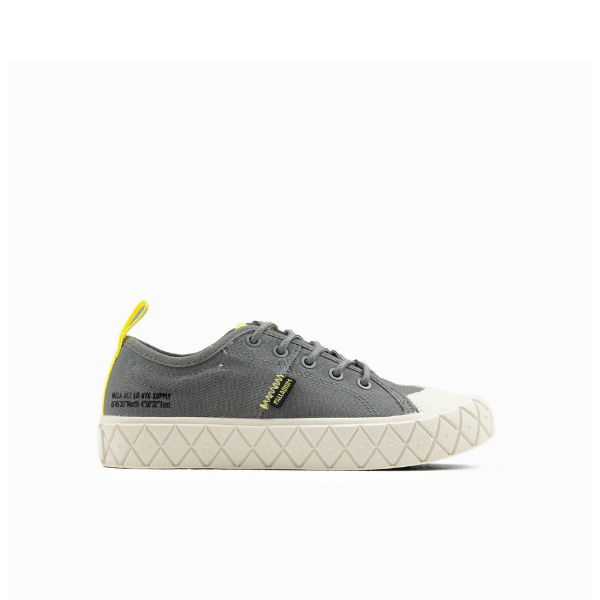 Ace Kids Lo Supply - Grey