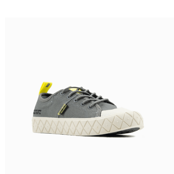 Ace Kids Lo Supply - Grey