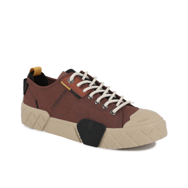 Ace City Shell - Racoon