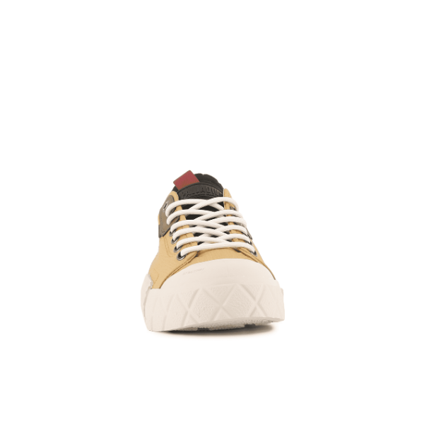 Ace City Shell - Fall Gold